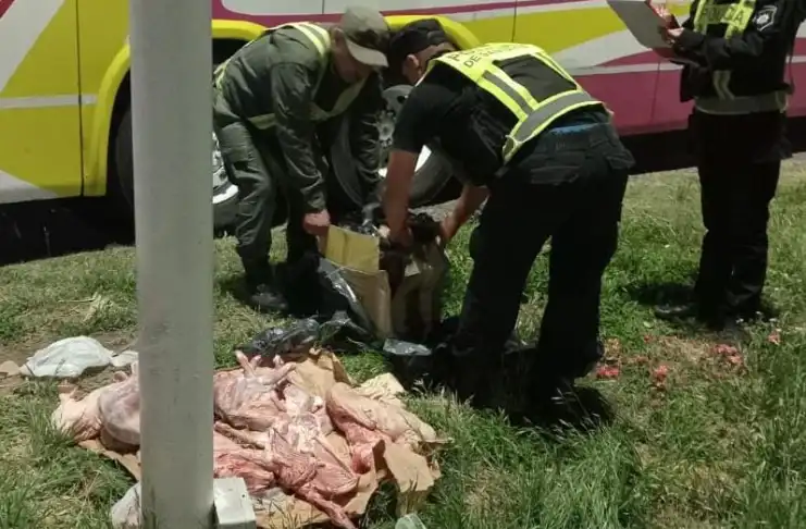 Secuestran más de 20 animales faenados durante un control vehicular en Arrufó