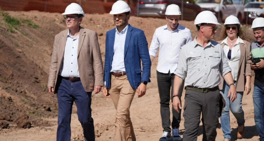 SENASA oficializ&oacute; el nuevo Sistema de Identificaci&oacute;n Electr&oacute;nica para ganado: fechas clave y requisitos