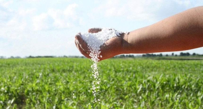 Deterioro: los fertilizantes est&aacute;n en fase alcista y ponen en jaque la rentabilidad de los cereales