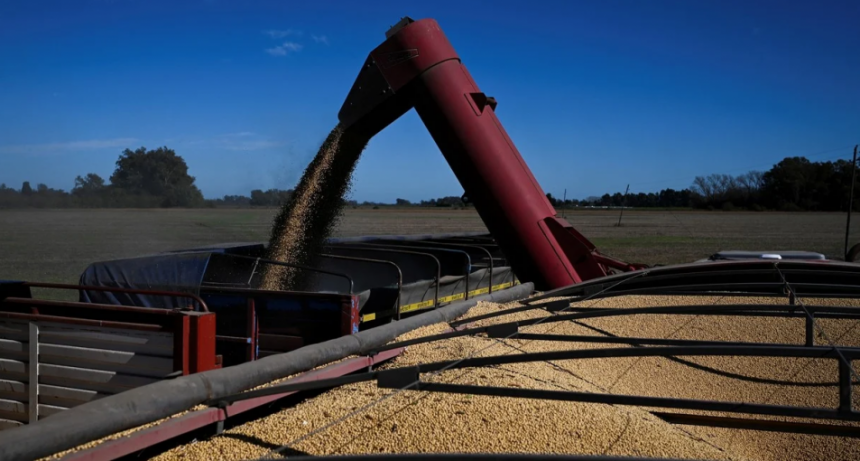 Con lo liquidado entre enero y octubre, 2025 ya es el tercer mejor año en aporte de dólares del agro ​