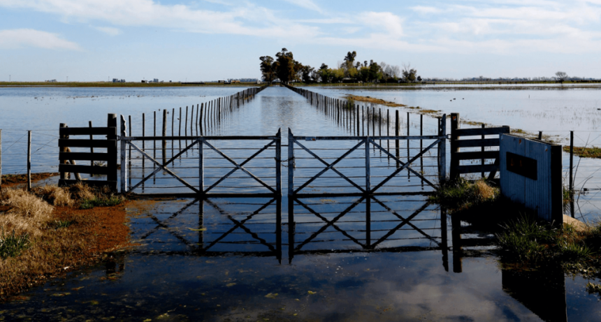 &ldquo;Ilegal e improcedente&rdquo;: fuerte cr&iacute;tica de CARBAP por la suba del Inmobiliario Rural en medio de las inundaciones