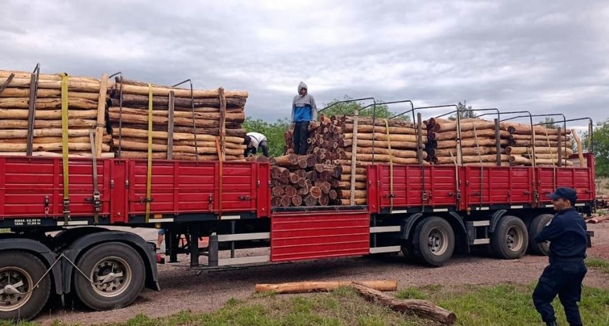 Decomisaron una carga de postes de it&iacute;n en un control policial en Ojo de Agua