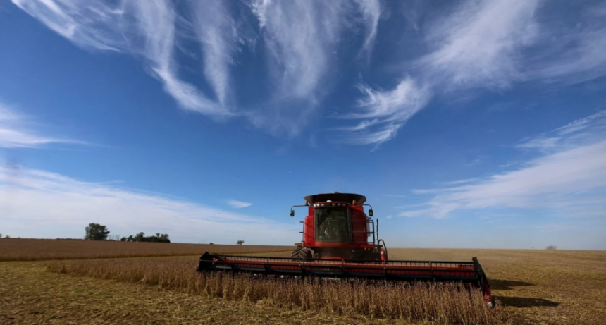 R&eacute;cord de exportaciones de soja para noviembre