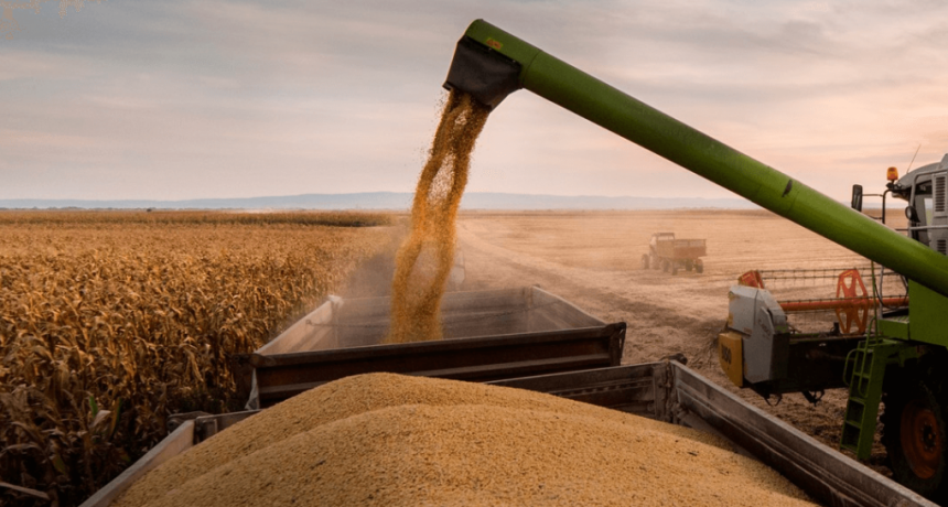 Se lanz&oacute; un &Iacute;ndice de Actividad de la Cadena Agropecuaria, que confirma la fortaleza actual del sector