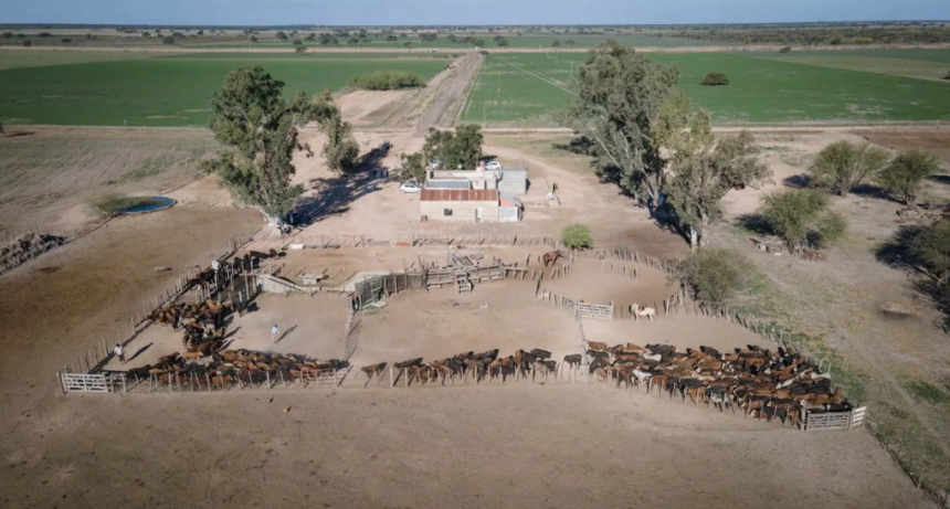 Inmobiliario Rural y exenciones: las novedades que trae la Ley Tributaria para el agro en Santa Fe
