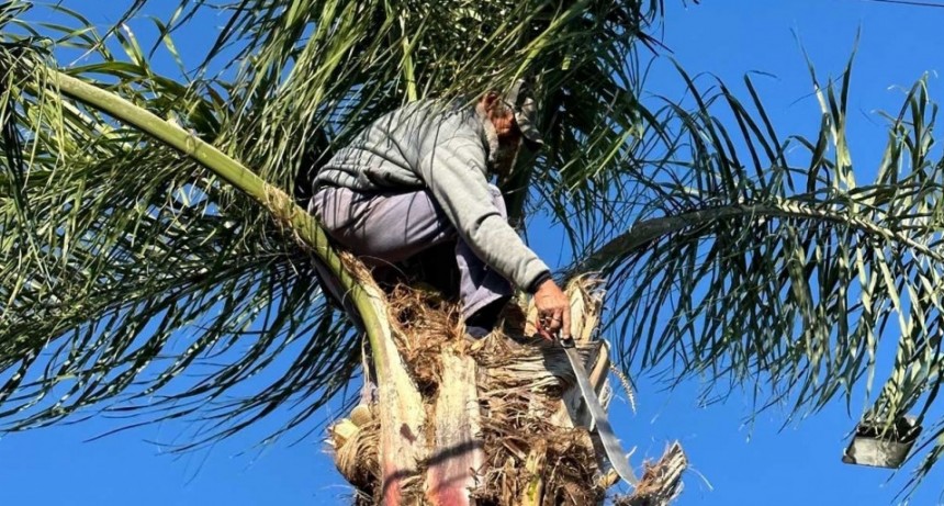 La informalidad laboral del sector privado promedia un 45,4% en el Gran Santa Fe