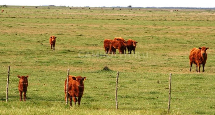 Argentina pierde $260.000 millones por año