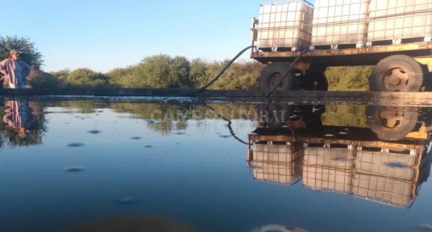 Pequeños ganaderos buscan acarrear agua en tanques o barriles para salvar su hacienda 