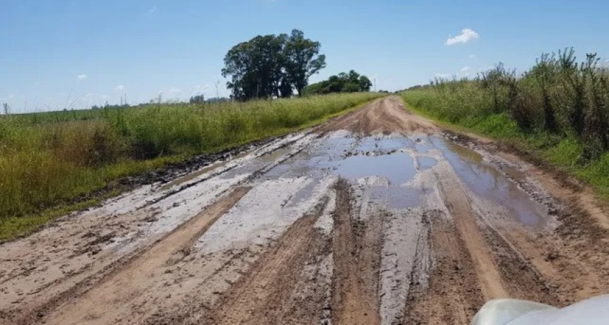 Los caminos rurales buscan meterse en los planes de estudio universitarios