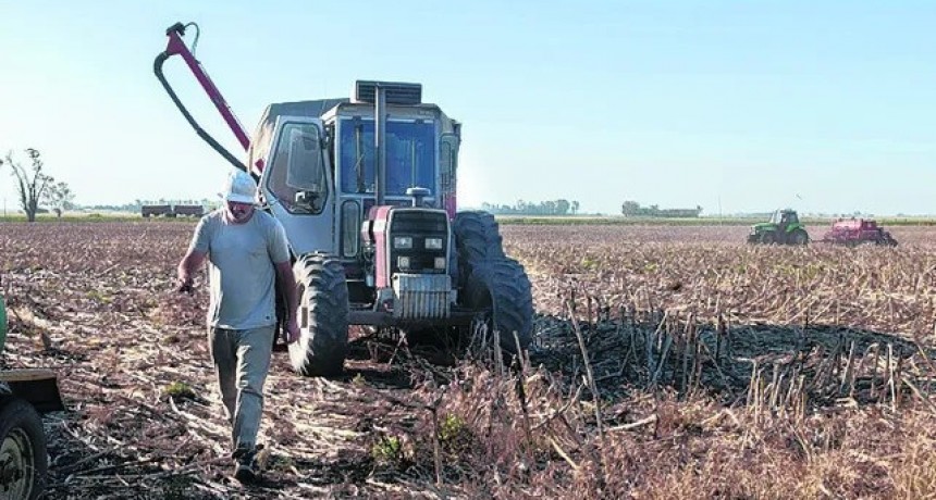 Un fantasma recorre el agro: la terrible sequía de 2008/2009