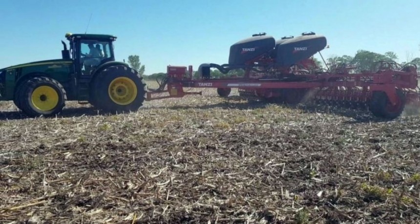 Largó la siembra de soja tardía y crecería el área en el centro norte de la provincia de Santa Fe