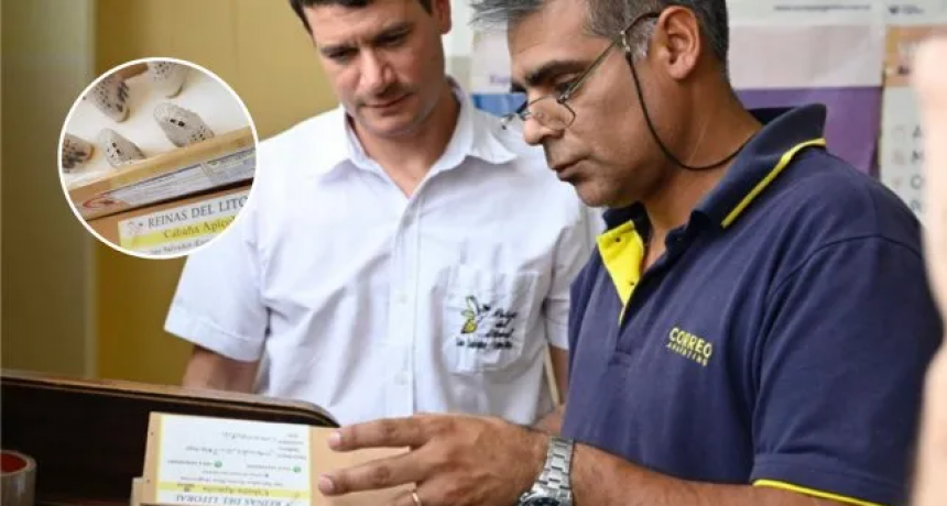 Abejas por correo: se podrá enviar material apícola vivo por Correo Argentino 