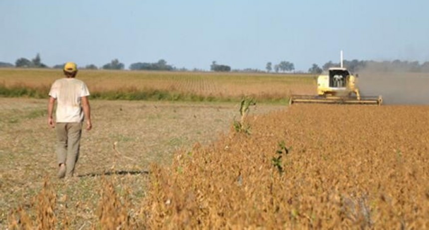 Productores santafesinos frenan siembra de maíz y soja por falta de lluvias