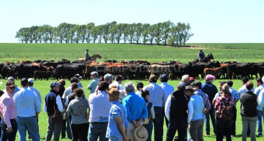  La pasión mundialista continúa con Brangus