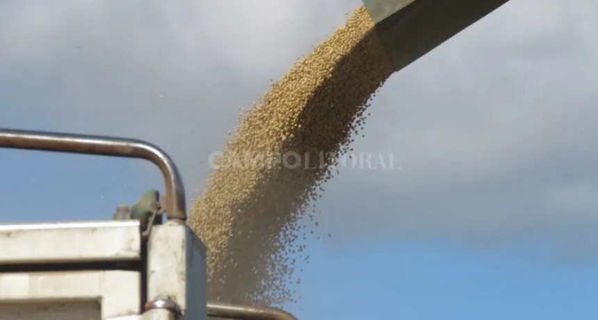  Acopiadores escracharán a los 