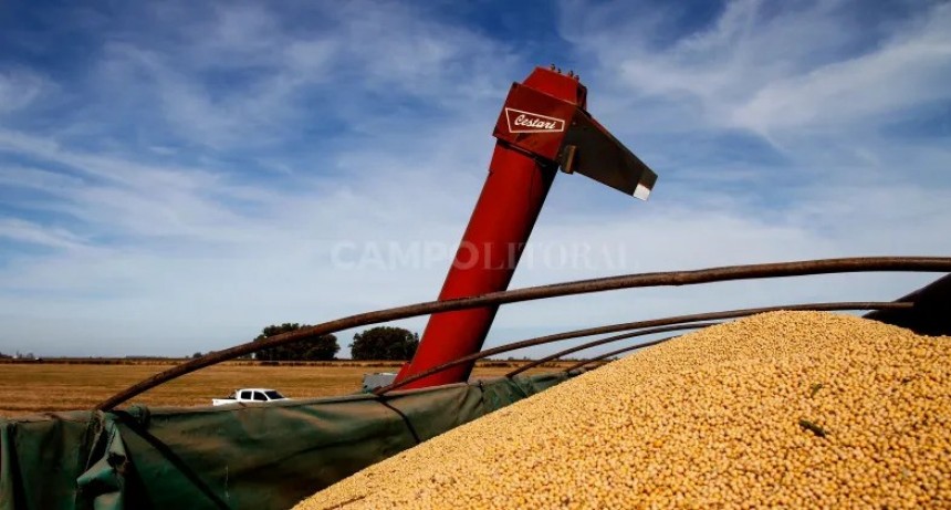  El consejo Agroindustrial se expresó a favor