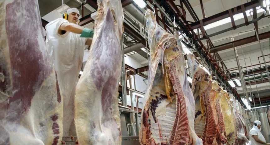 Cayeron un 6 % las exportaciones de carne vacuna  