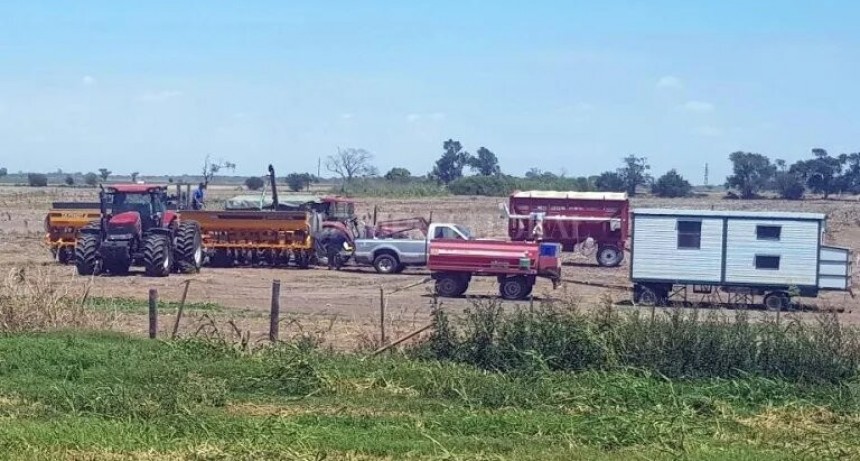  Finalizó la siembra de soja de primera en el centro norte santafesino