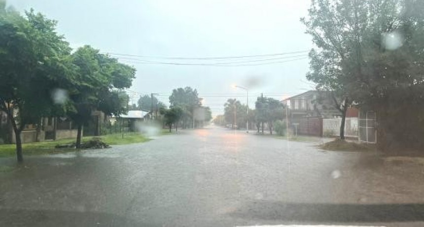 Martín Lousteau es el nuevo presidente del Comité Nacional de la UCR