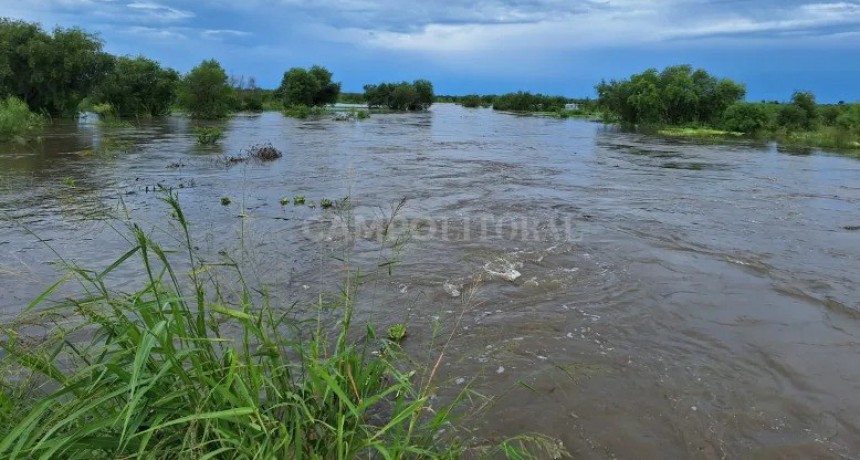 El girasol y la soja, primeras víctimas de El Niño en General Obligado 