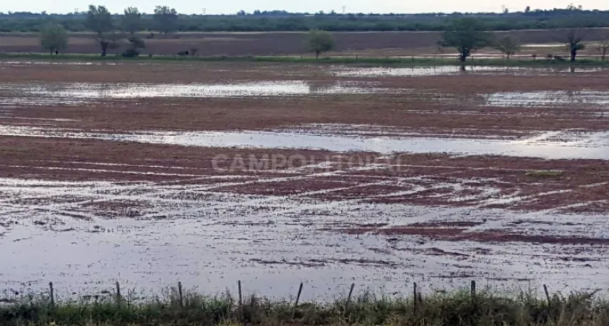 Las abundates lluvias frenaron todas las actividades en el campo 