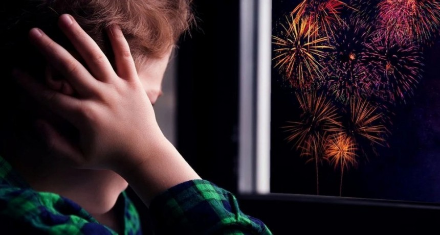 Santa Fe: uno por uno, los motivos por los que no hay que tirar cohetes en las fiestas