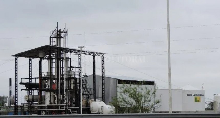  Ley ómnibus: sería el 