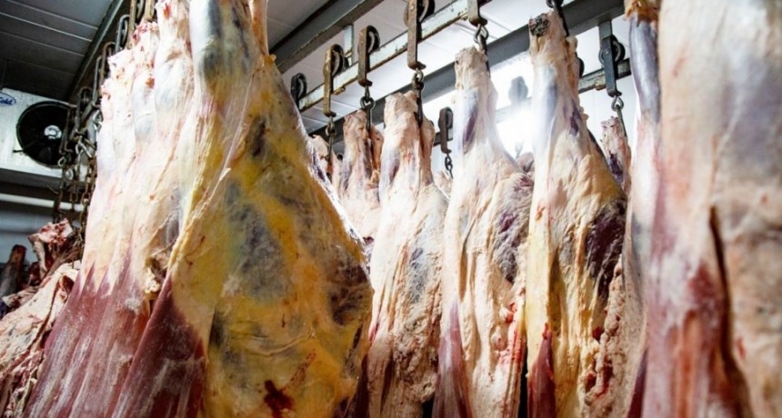 A partir del lunes próximo ya no habrá restricciones para la exportación de cortes bovinos