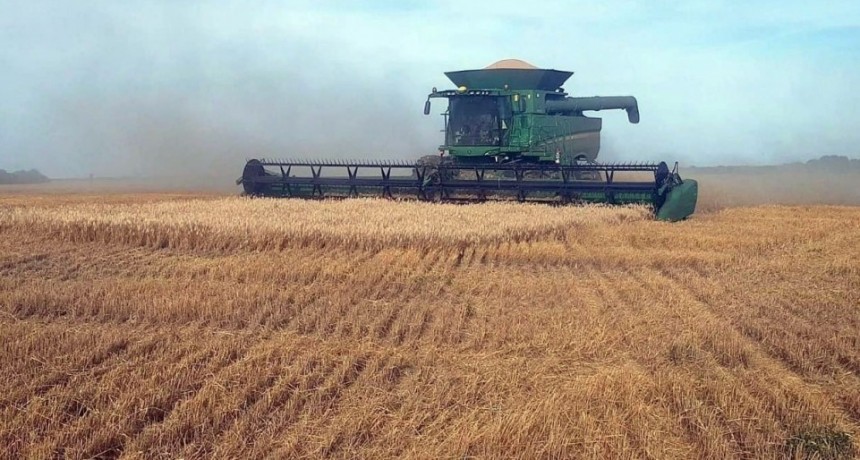 La recuperación de la agroindustria impulsa las exportaciones santafesinas