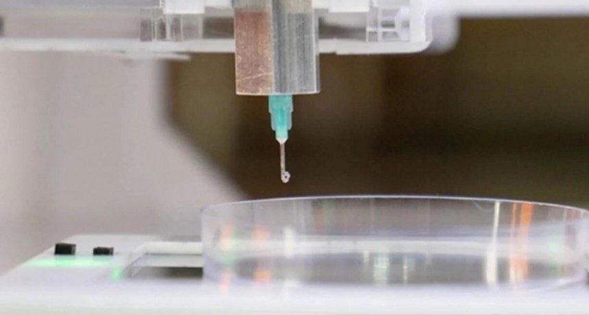 Argentinos crean parches inteligentes destinados a mejorar la cicatrización de heridas complicadas