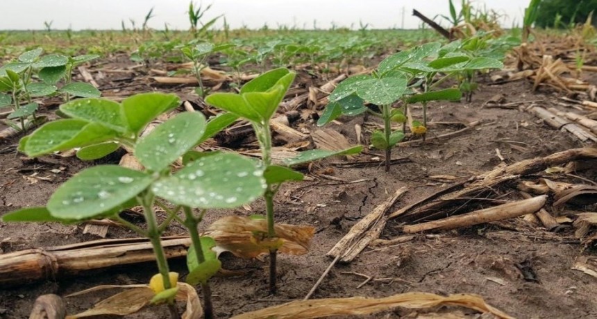 Cae la probabilidad de 