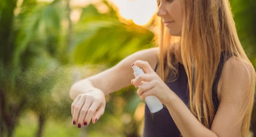 Dengue y más allá: cómo sostener la prevención dentro y fuera de Santa Fe