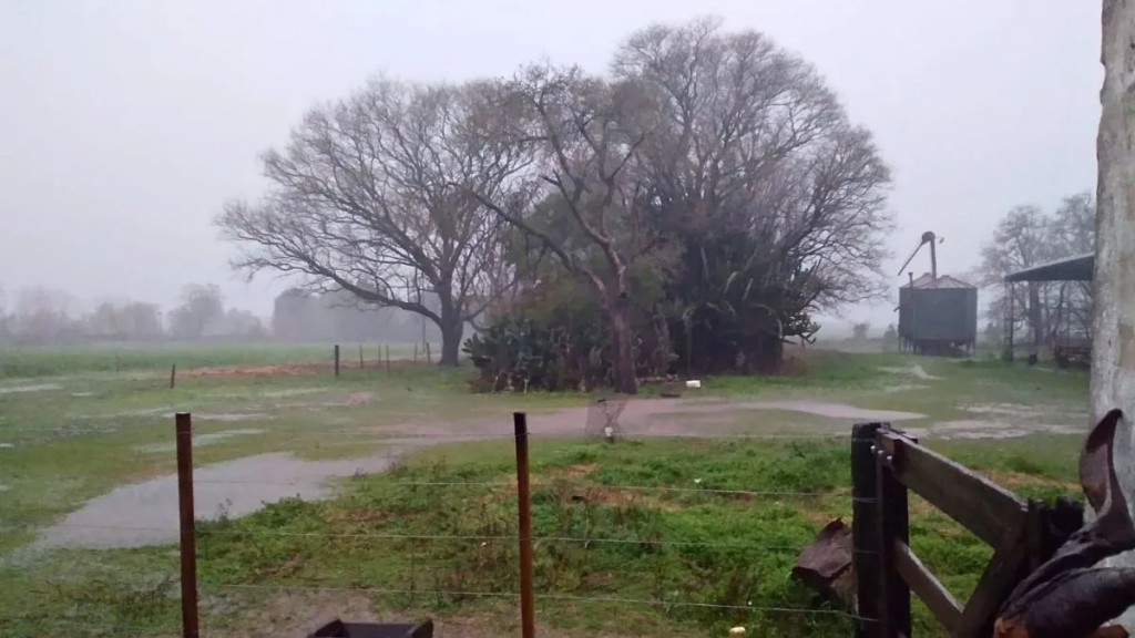 Ranking de lluvias en Santa Fe: buenos aportes hídricos y alertas puntuales por excesos en el norte