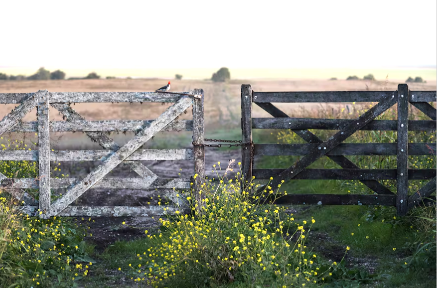 “Concreta, firme y bastante alta”: cierra un muy buen año, con valores récord, la compraventa de campos agrícolas