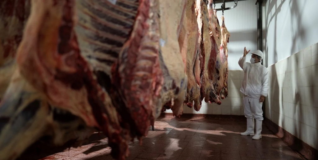Carne vacuna: la retracción de China reaviva el debate sobre diversificación de mercados
