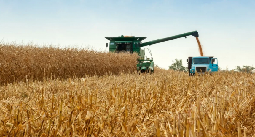 Reforma tributaria: las 12 medidas fiscales que propone CRA y c&oacute;mo impactar&iacute;an en la inversi&oacute;n agropecuaria