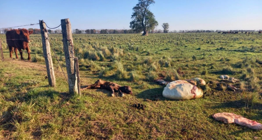 La inseguridad rural vuelve a tensionar la relaci&oacute;n entre el agro y el gobierno de Santa Fe