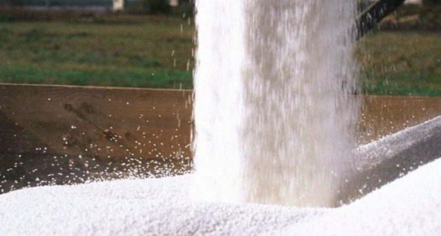 Adecoagro y ACA concretaron la compra de Profertil y toman el control del mayor productor de fertilizantes de Sudam&eacute;rica