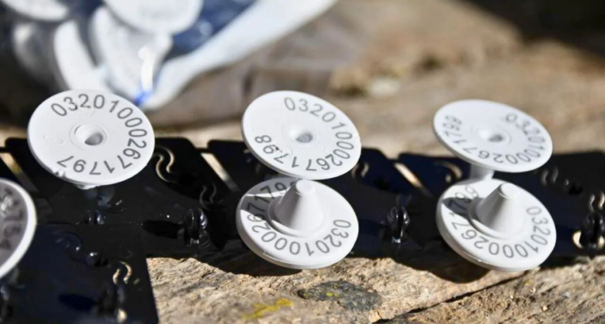 Caravana electr&oacute;nica obligatoria: charla informativa en la Sociedad Rural de Vera