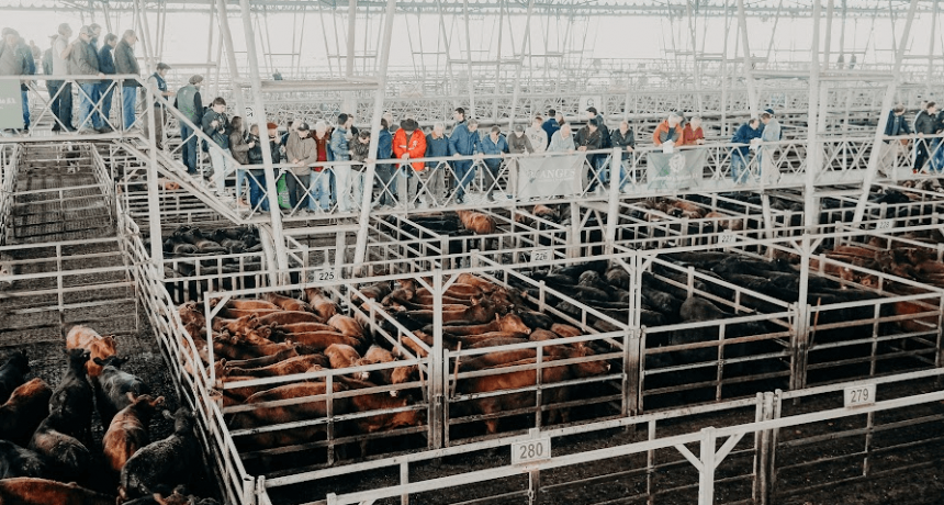 El precio de la carne, en d&iacute;as de Fiestas: para la Sociedad Rural Argentina hay &ldquo;10 claves estructurales&rdquo; que explican subas