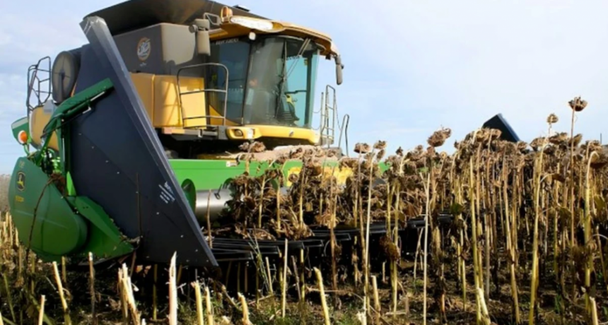 Avanza la cosecha gruesa en Santa Fe: buenos rindes de girasol y un ma&iacute;z temprano en estado ideal