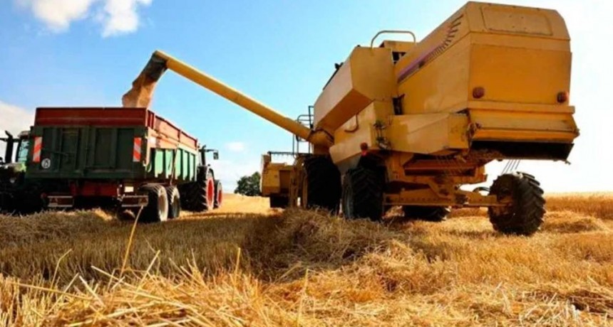 El desaf&iacute;o de consolidar a Argentina como exportador de alimentos con valor agregado