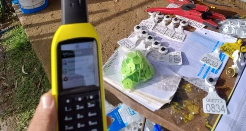 Productores rurales rechazan la obligatoriedad de la caravana electr&oacute;nica y proponen alternativas